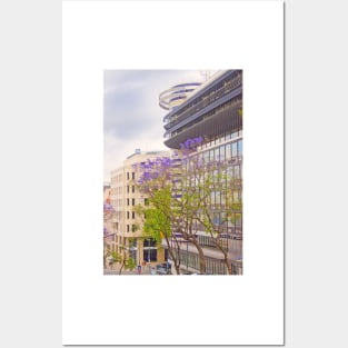 Jacarandas. Posters and Art